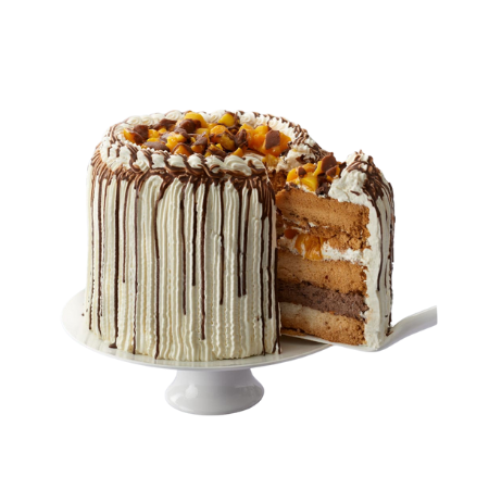 Mango Bravo by Conti's Cake – eTaara